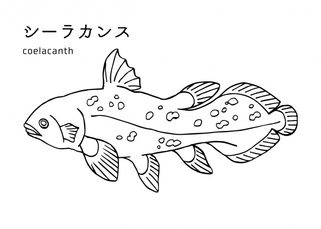 魚の塗り絵 シーラカンス 無料イラスト素材 素材ラボ