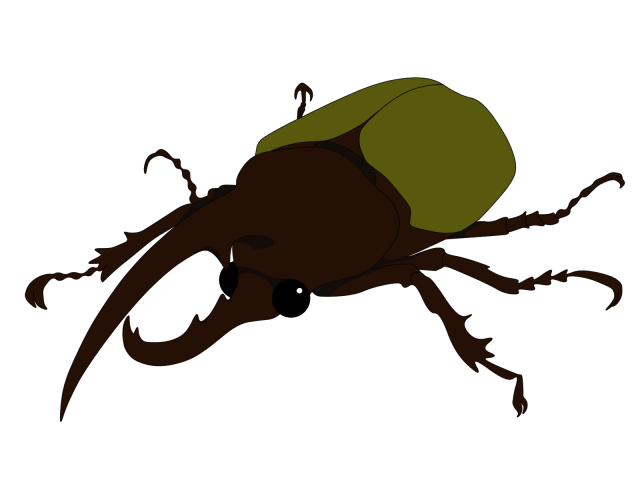 B5 手描きイラストプリント カブト虫 ヘラクレスオオカブト 昆虫 森 楽しい 絵 即納 絵