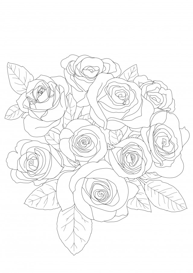 薔薇(塗り絵) | 無料イラスト素材｜素材ラボ