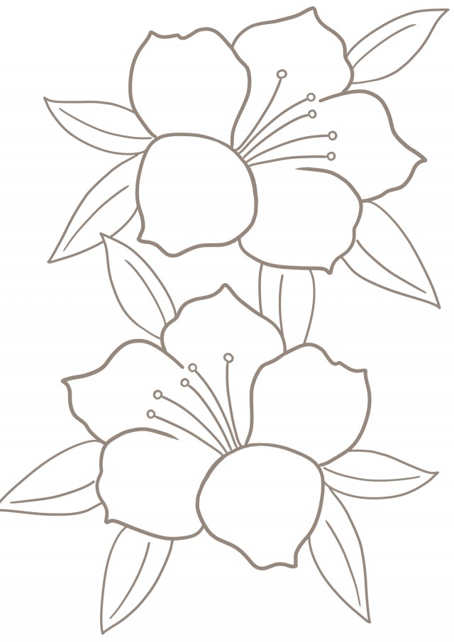 ツツジのぬりえ 無料イラスト素材 素材ラボ