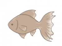 シンプルな金魚の…