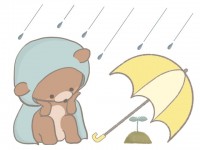 雨の中双葉を見守…