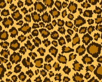 豹柄のパターン（…