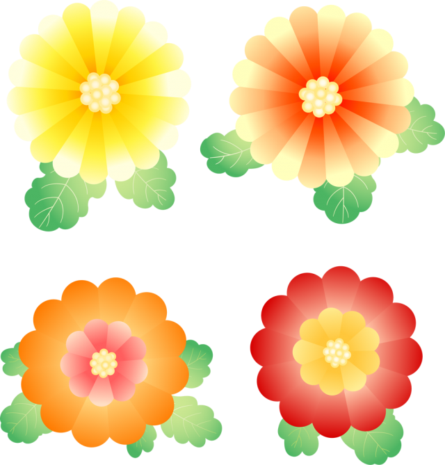和風菊の花セット Csai Png 無料イラスト素材 素材ラボ