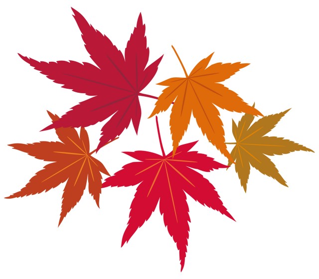 秋冬紅葉赤もみじ葉っぱシンプル装飾飾りシルエット植物アイコン無料イラストフリー素材 無料イラスト素材 素材ラボ 秋冬紅葉赤もみじ葉っぱシンプル装飾飾りシルエット植物アイコン無料イラストフリー素材 無料イラスト素材 素材ラボ
