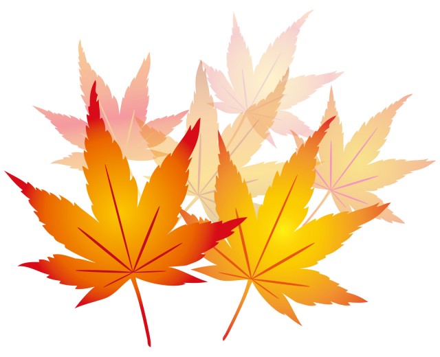 秋冬紅葉赤もみじ葉っぱシンプル装飾飾りシルエット植物アイコン無料イラストフリー素材 無料イラスト素材 素材ラボ