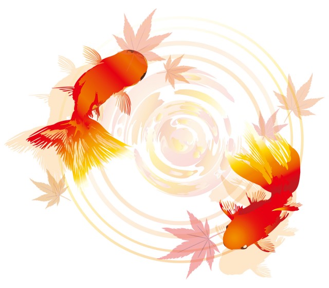 秋冬波紋水面に浮かぶ赤紅葉もみじと泳ぐ金魚の挿絵装飾飾り無料イラストフリー素材 無料イラスト素材 素材ラボ
