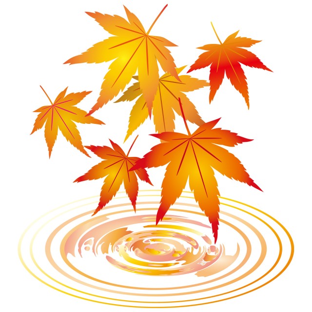 秋冬波紋水面に舞い落ちる赤紅葉もみじ挿し絵装飾和風で風流な飾り無料イラストフリー素材 無料イラスト素材 素材ラボ
