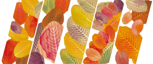 秋冬紅葉ビビッドカラー手描き水彩画落ち葉柿の葉コラージュデザイン背景素材壁紙無料イラストフリー素材 無料イラスト素材 素材ラボ