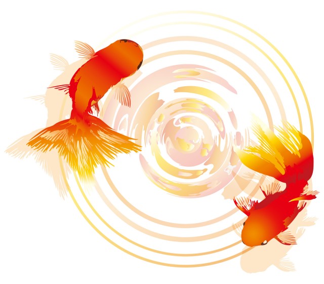 波紋水面でスイスイ泳ぐつがい二匹赤金魚ワンポイント挿し絵あしらい装飾和風飾り無料イラストフリー素材 無料イラスト素材 素材ラボ