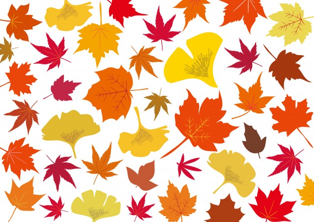 秋冬紅葉赤もみじ黄イチョウカラフル植物模様柄コラージュデザイン背景素材壁紙無料イラストフリー素材 無料イラスト素材 素材ラボ