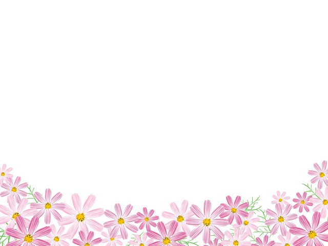 コスモス秋桜お花畑カーブラインフレーム装飾飾り枠植物背景素材壁紙無料イラストフリー素材 無料イラスト素材 素材ラボ