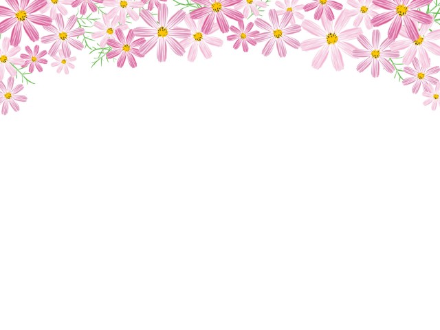 秋桜コスモスアーチラインフレーム装飾飾り枠9月10月11月の花植物見出しタイトル無料イラストフリー素材 無料イラスト素材 素材ラボ