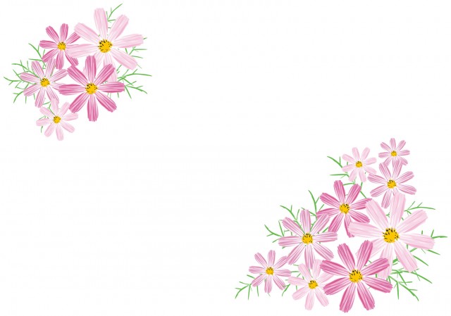秋桜おしゃれフレーム装飾飾り枠9月10月11月コスモス植物花束ブライダルブーケ無料イラストフリー素材 無料イラスト素材 素材ラボ