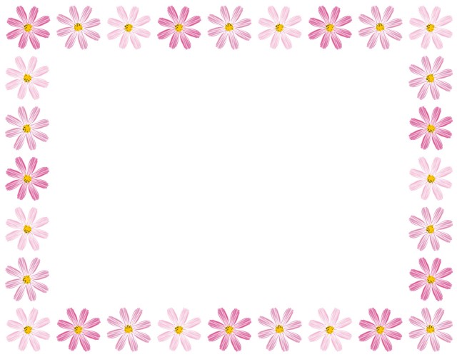 コスモス秋桜花フレームピンク色装飾飾り枠9月10月11月の植物背景素材壁紙無料イラストフリー素材 無料イラスト素材 素材ラボ