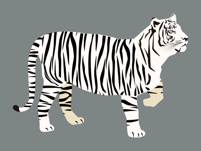 22年の干支トラ ホワイトタイガー 無料イラスト素材 素材ラボ