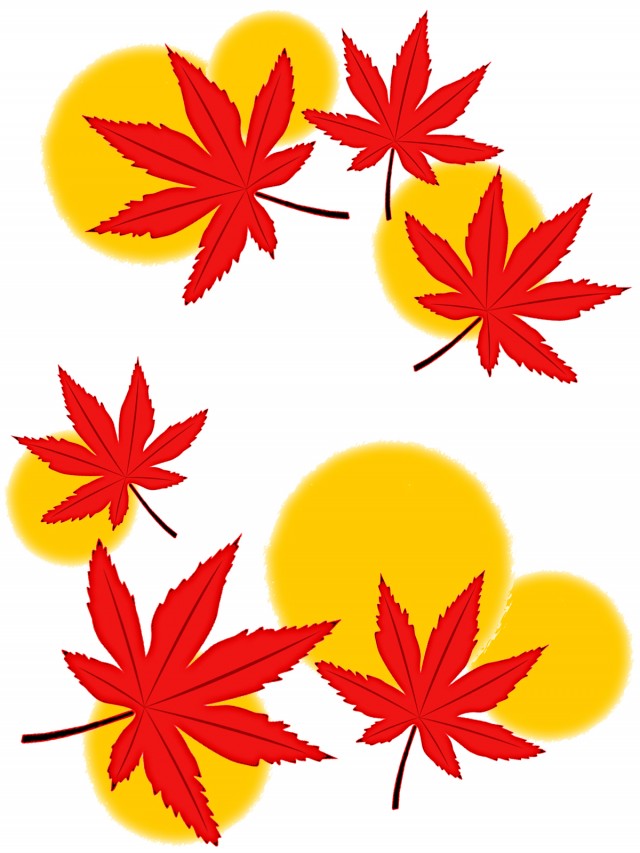 紅葉の葉っぱ壁紙シンプル背景素材イラスト 無料イラスト素材 素材ラボ