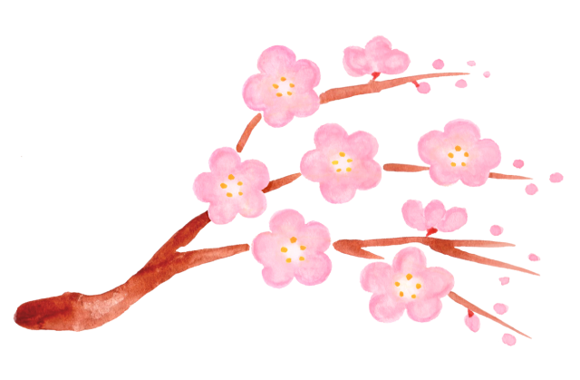 水彩のピンクの梅の花 無料イラスト素材 素材ラボ