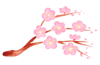水彩のピンクの梅…