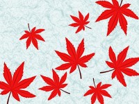 和紙に紅葉の葉っ…