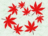 和紙に紅葉の葉っ…