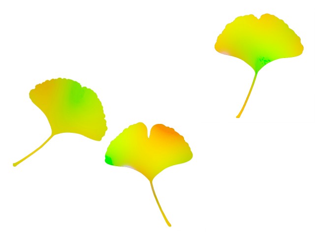 銀杏の葉っぱ壁紙シンプル背景素材イラスト 無料イラスト素材 素材ラボ