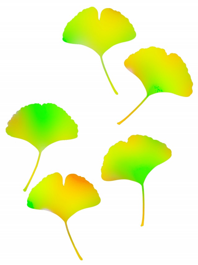 銀杏の葉っぱ壁紙シンプル背景素材イラスト 無料イラスト素材 素材ラボ