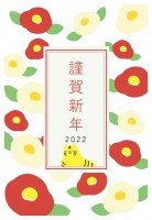 2022年寅年年…