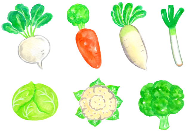 水彩の冬野菜のイラストセット 無料イラスト素材 素材ラボ
