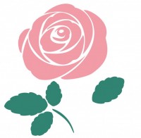 ピンクの薔薇の花…