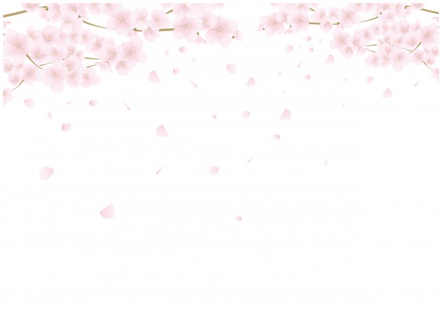 リアルな桜 桜吹雪の背景フレーム 白バック 無料イラスト素材 素材ラボ