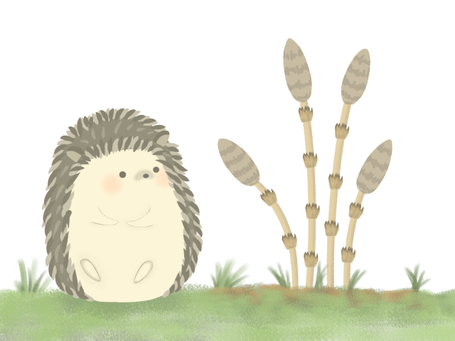 春 つくしを見るハリネズミのイラスト 無料イラスト素材 素材ラボ