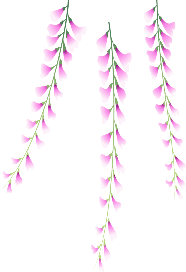 藤の花のアイコン Csai Png 無料イラスト素材 素材ラボ