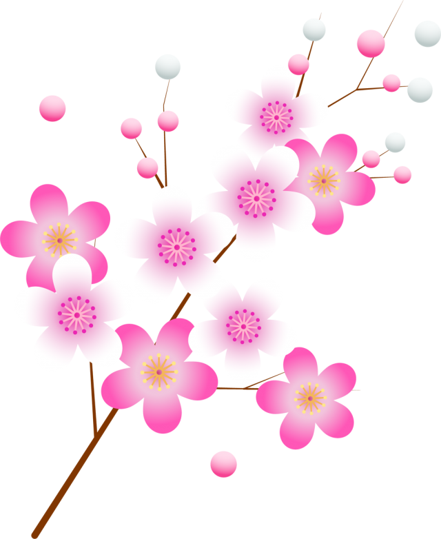 ピンクと白の梅年賀状アイコン Csai Png 無料イラスト素材 素材ラボ
