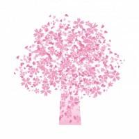 桜のイメージイラ…