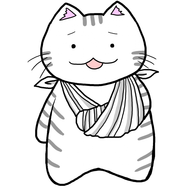 骨折猫 怪我 無料イラスト素材 素材ラボ