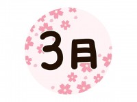 かわいい桜と「３…