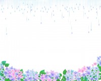 紫陽花と雨