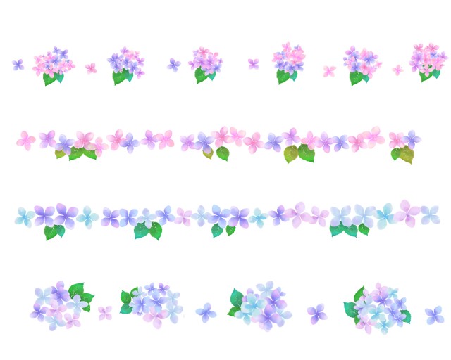 紫陽花のライン
