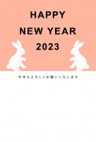 2023年用・向…