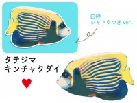 熱帯魚のセット_…