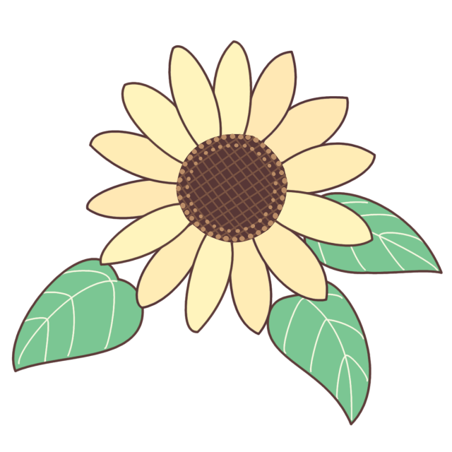 シンプルなヒマワリの花のイラスト 夏の素材 透過PNG | 無料イラスト 
