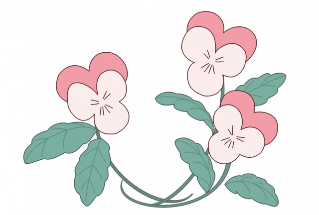 シンプルなパンジーのお花 ピンク色 透過png 春のイラスト 無料イラスト素材 素材ラボ