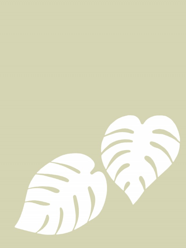 白い観葉植物の葉っぱ壁紙シンプル背景素材イラスト