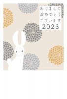 2023年用・菊…