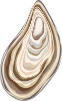 牡蠣の殻アイコン…