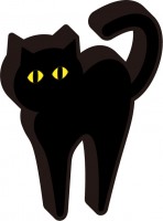 立体感のある黒猫…
