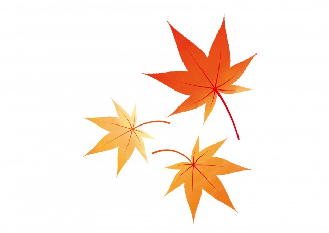秋に紅葉するもみじのイラスト素材 無料イラスト素材 素材ラボ