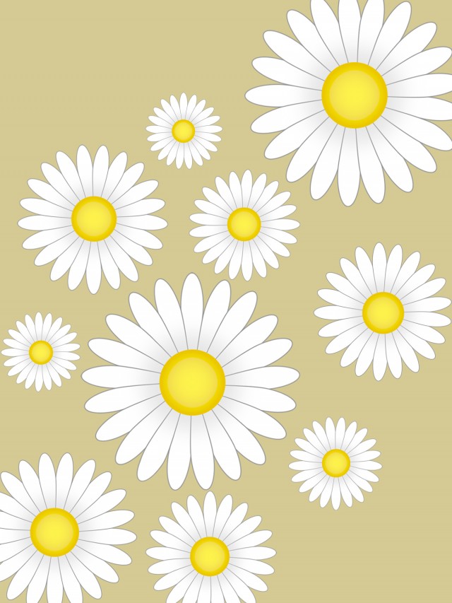 白いお花模様壁紙シンプル背景素材イラスト