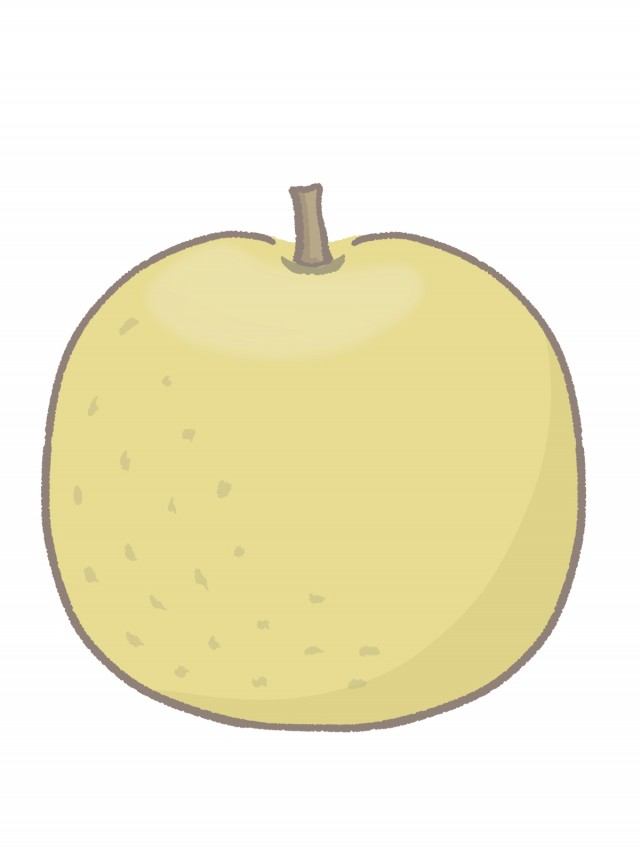 シンプルな梨のイラスト　